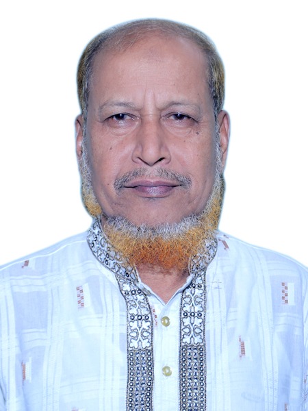 Mohammad Wahidul Alam